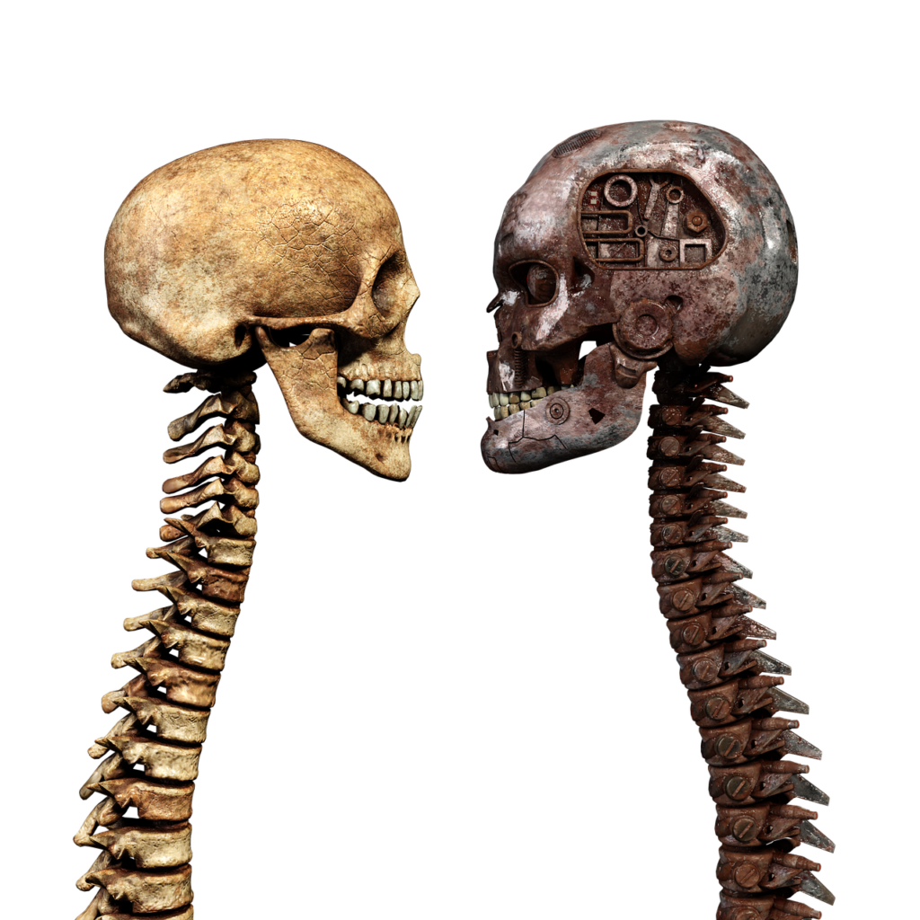 skull, spine, crossbones-5536650.jpg